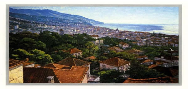 madeira_funchal